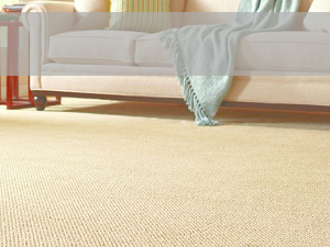 Carpet Cleaning Gawler, Barossa | All Fresh Cleaning South Australia